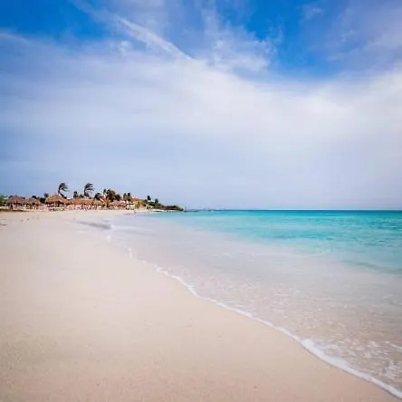 Bubali VI Lejlighed Palm Beach
